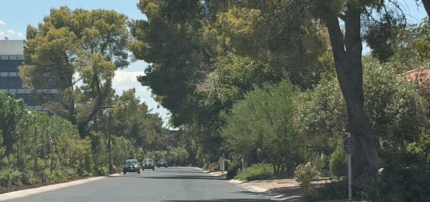 A tree-lined Las Vegas Country Club Estates street